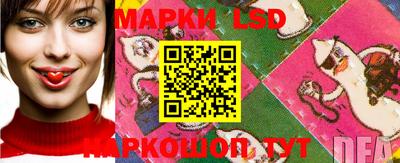 2c-b Ирбит
