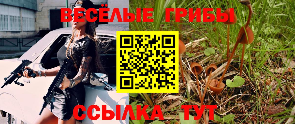 Псилоцибиновые грибы мицелий Таганрог