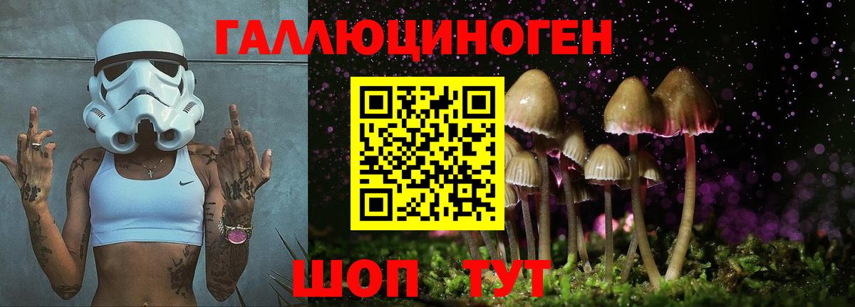 Галлюциногенные грибы Cubensis  Вход с VPN  Таганрог 